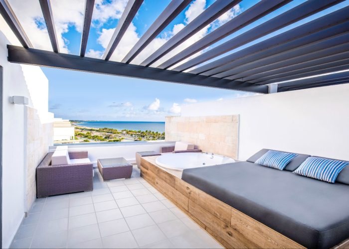 Sky View Suite (Rooftop Outdoor Jacuzzi) - Rooftop